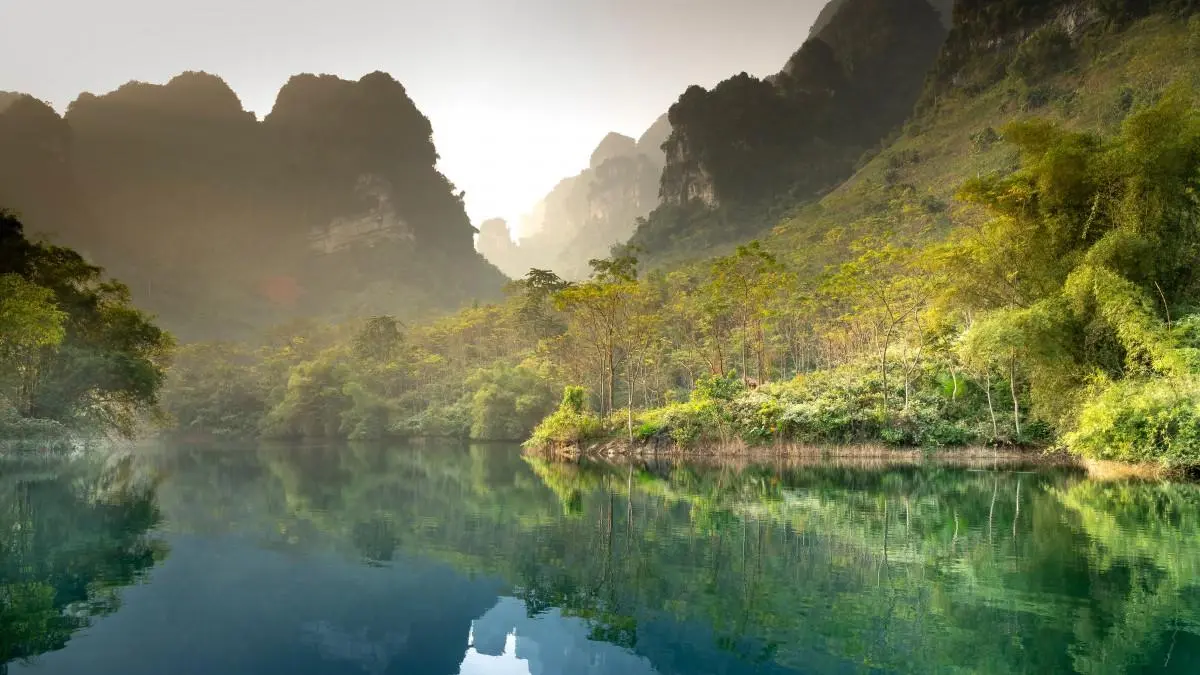 绿色高端